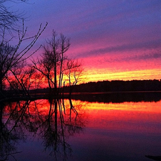 Photo: Dave Reichley 2014